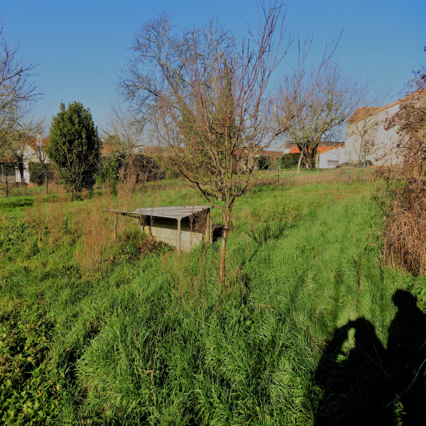 Offres de vente Terrain Saint-Germain-sur-Moine 49230